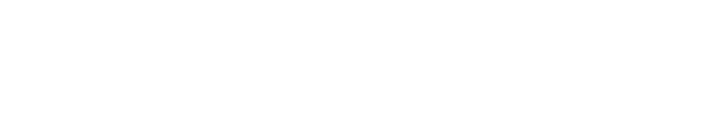 birbonus